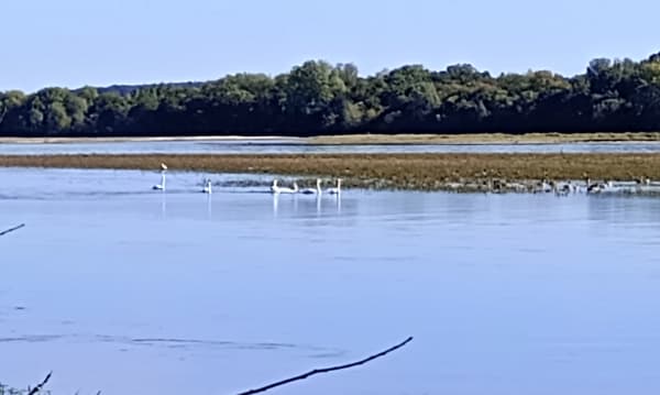 Autour de la Loire à La Daguenière - ERIC - 1