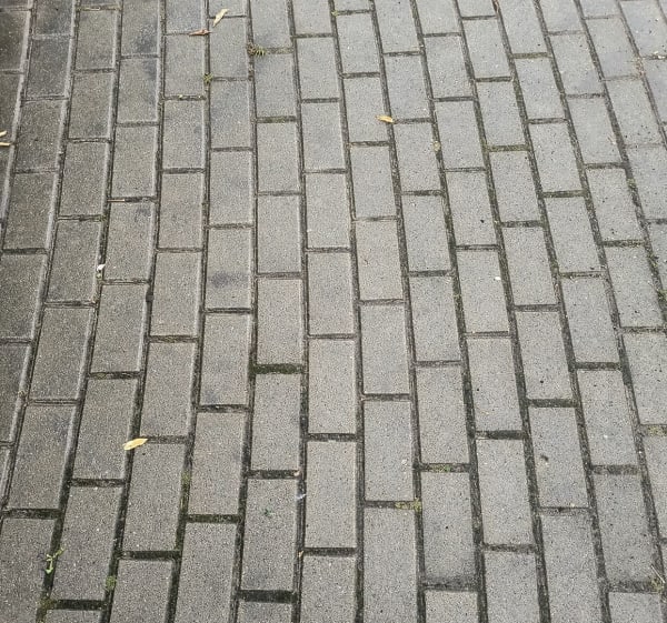 Spacer dookoła - Komorniki - 1