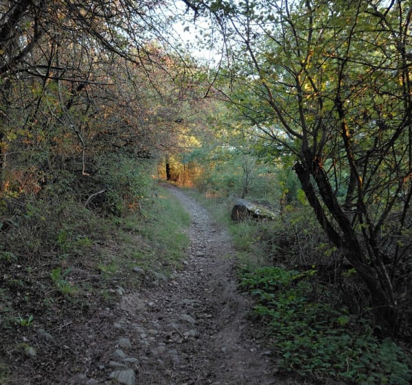 Boucle de Bugnette vers Condamine - Corine - 1
