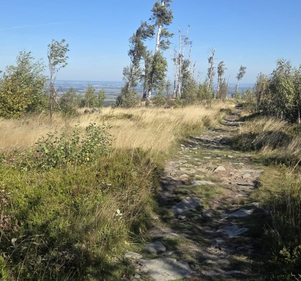 Opawskie kopy - Jarnołtówek - 1