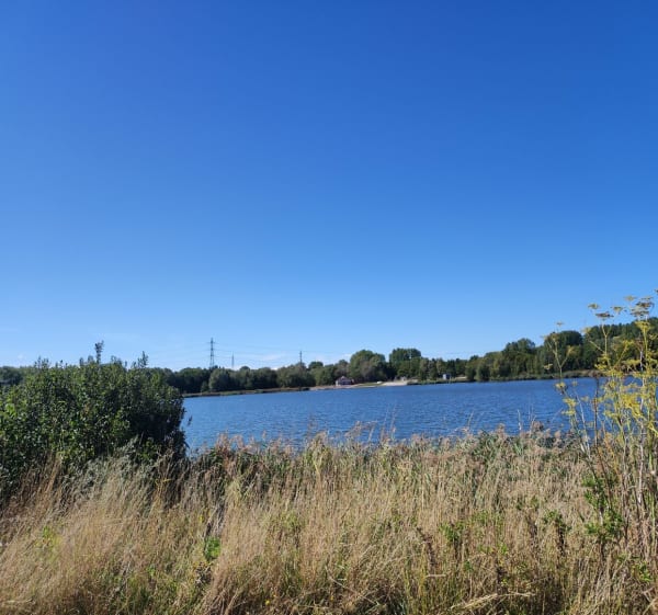 Ceinture boisée vers le Lac du Puytouck - Béatrice - 1