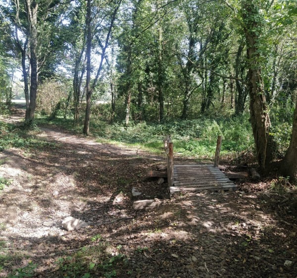 Circuit des Chataigners à Saint-Jean-sur-Vilaine par la Bâte - Romuald - 1
