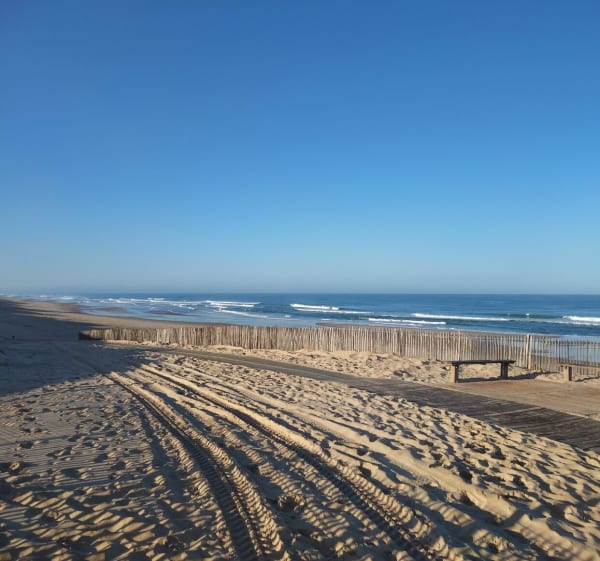 Trait de côte à Carcans-Plage - Thierry - 1