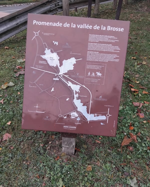 Balade hivernale à Rentilly-Guermantes - Haouari  - 1