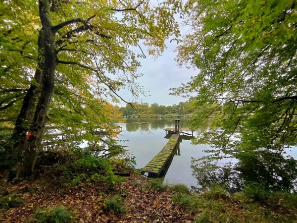 Marche ensoleillé au camping 《le refuge des pêcheurs》 - MICHELE - 1