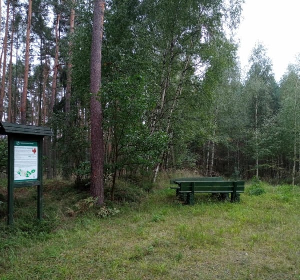 Miejsce odpoczynku Wiewiórka - Schodnia - Schodnia - 1