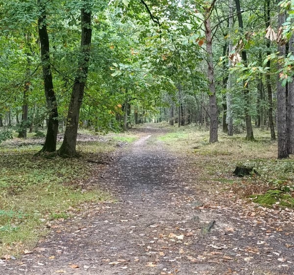 Petite randonnée sous la pluie en  forêt de Sénart - Didier - 1
