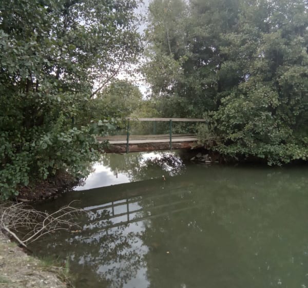 La tranquillité en zone urbaine au lac de Lamartine - dominique - 1