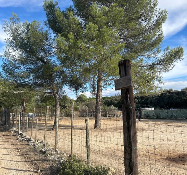 Balade à travers la garrigue de Teyran - Ludivine - 1