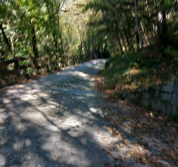 Sentier rupestre de Capo di Ponte - Capo di Ponte - 1