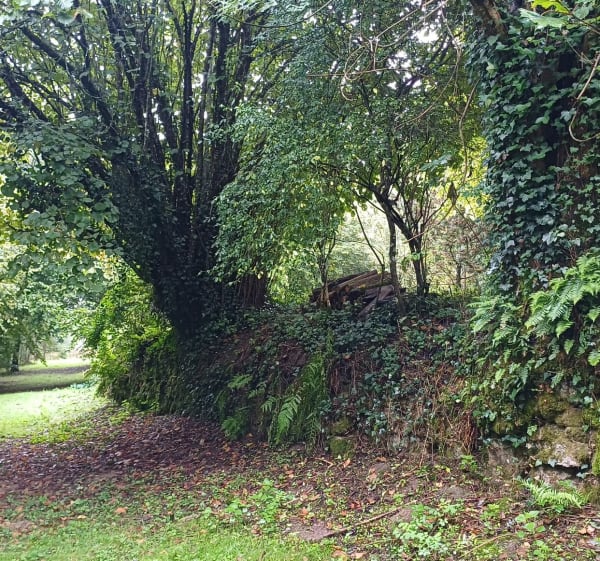 Labcacheroute Arboretum - Patric - 1
