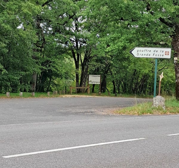 Promenade dans la forêt domaniale de la Braconne de Grande Fosse - Brie - 1