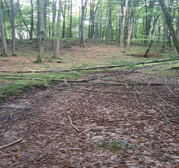 Ruiny Bunkra i Lezyce - Piotr - 1