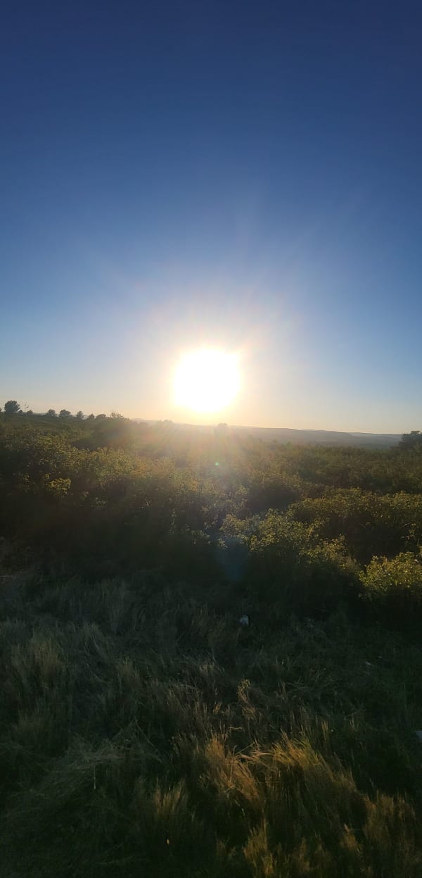 Grabels : on ne résiste pas à l'appel de l'oasis des garrigues - Constance - 1
