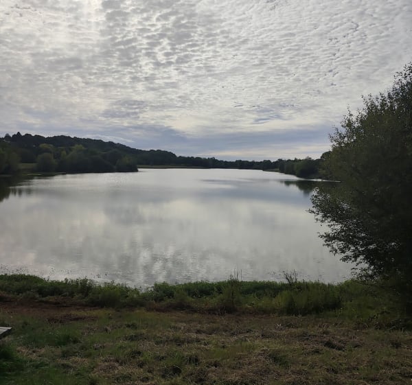 Forêt d'Amboise et Étang de la Varenne sous Chandon - Sébastien  - 1