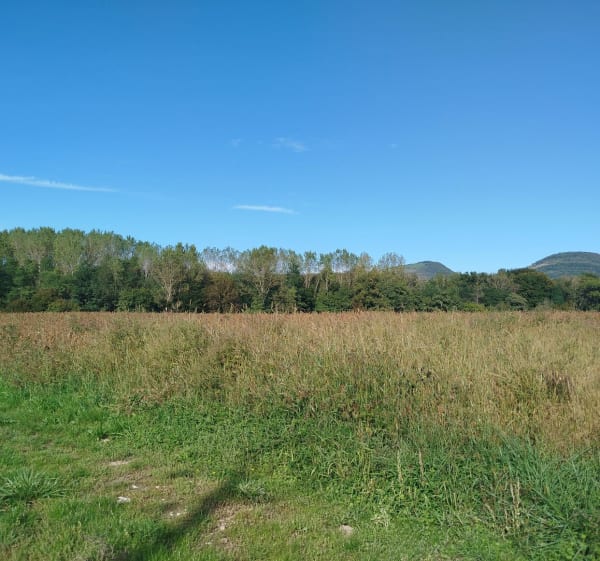 Tour de la Grange du Pin, par Cuisiat - Val-Revermont - 1