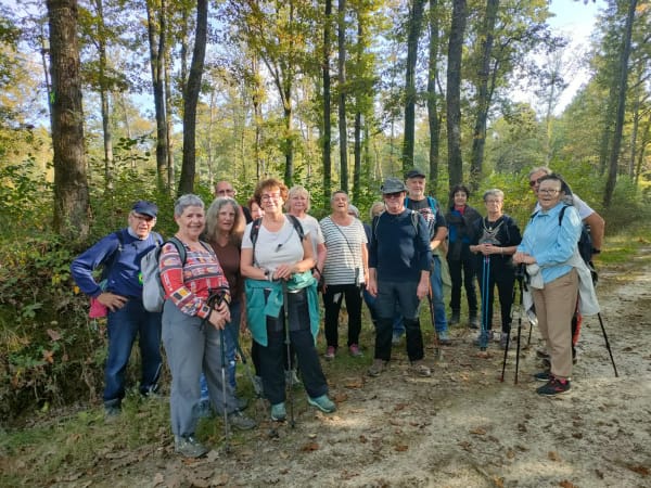 Balade dans les bois d'Etrez/Foissiat - Rita - 1