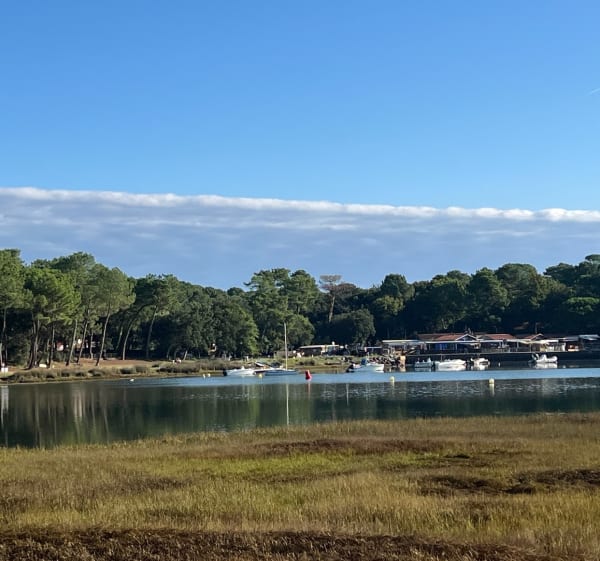 Tour du lac d'Hossegor - Denis - 1