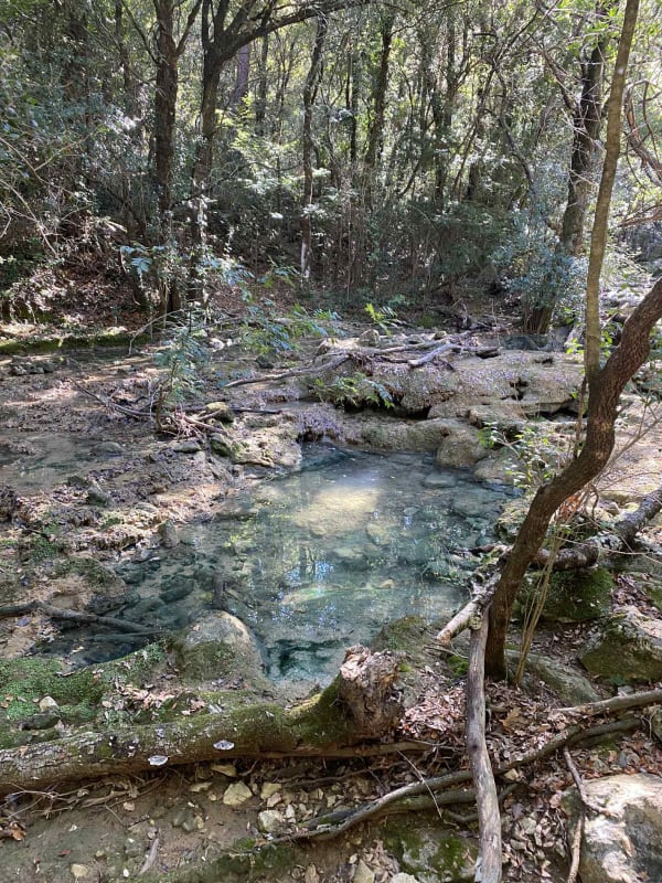 Source de l'Huveaune et Grotte de Castelette - Rémy - 1