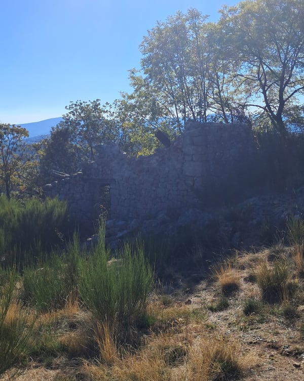 Sur les sentiers des menhirs de Saint-Roman-de-Codières - SANDRINE - 1