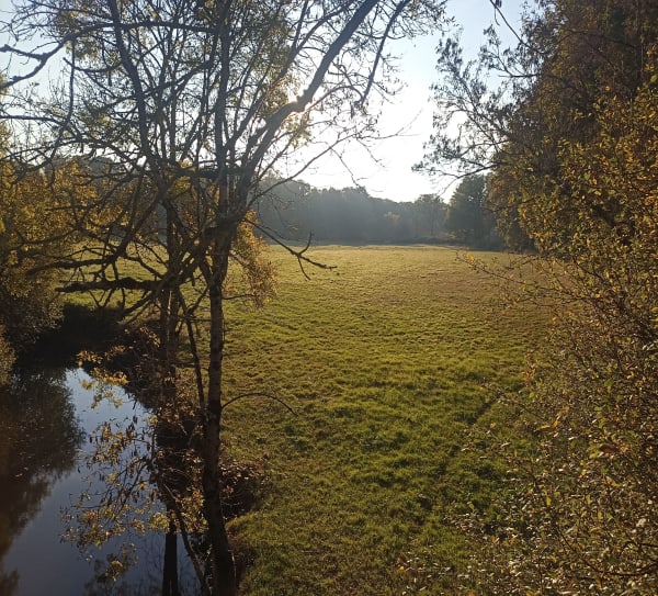 Entre forêts et vignes autour de Pont-Saint-Martin en VTC - Laetitia - 1