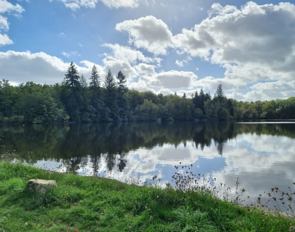 Rando des escargots par l'Etang du Chatenêt - Dahbia - 1