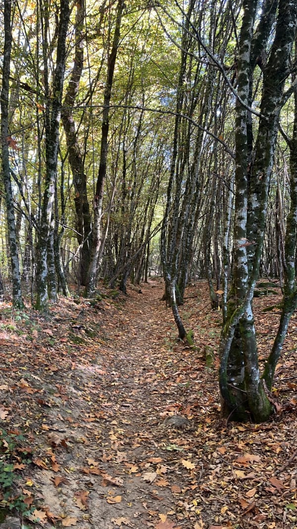 Boucle de La Borie - Lison - 1