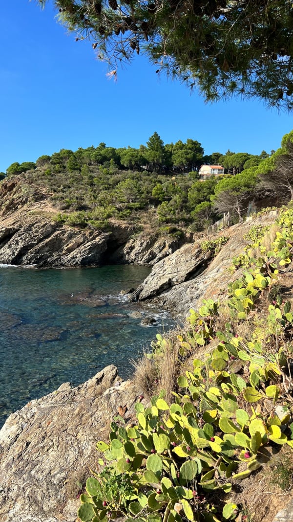 Boucle du Cap Béar, par Fort Béar et Paulilles - Edouard - 1