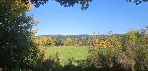 Promenade familiale autour du Chambon - Aurelie - 1
