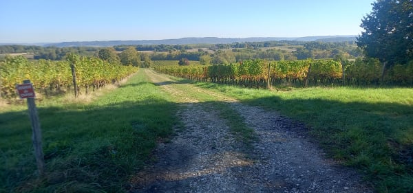 Vianne, une bastide sur la Baïse - PIERRE - 1