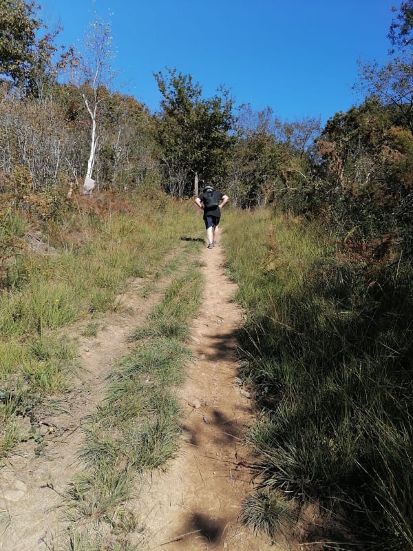 Dans les bois d'Ustaritz - JAMES - 1