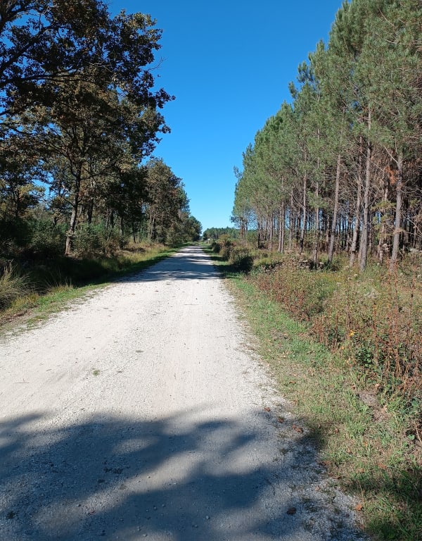 Boucle en foret sur Issac - Aurélie - 1