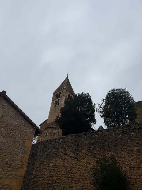 Petite balade dans les vignes de Chessy - Karine - 1