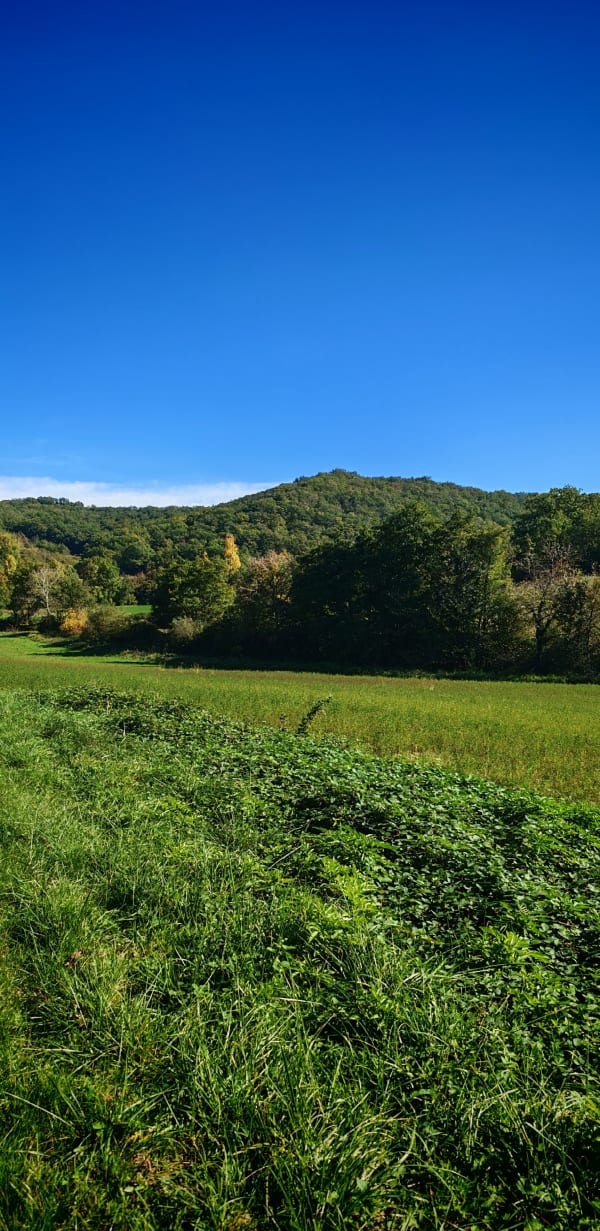 Prendre le large de Puymaurin et vue sur les Pyrénées - Laurent - 1