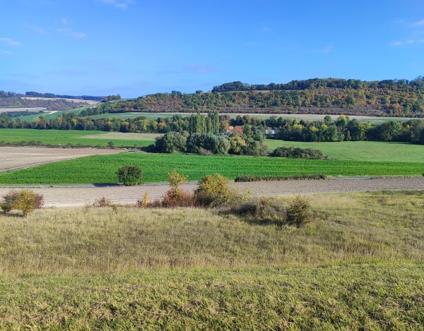 Paysages de l'Omois et balade dans les champs - Elise - 1