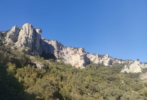 Sénas, vallon d'Auphant et Alpilles en majesté - Freddy - 1