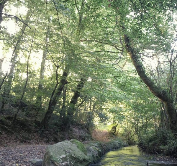 Autour de Valognes - Nikos - 1