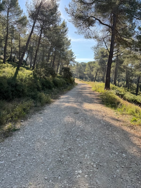 Randosansan dans les Alpilles - Thibaut - 1