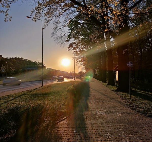 Pętelką spacerowo-biegowa - Daria - 1