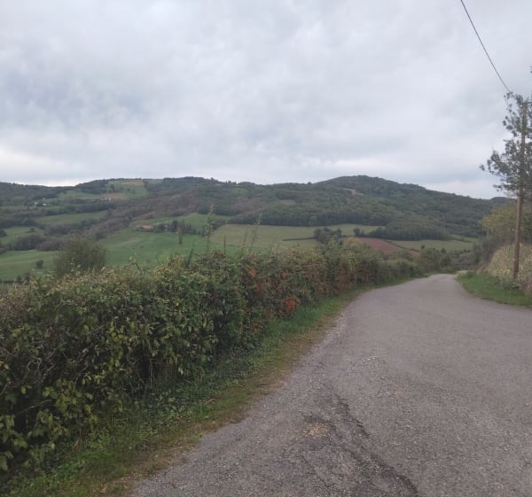 Route de Cueye à Saint-Christophe-Vallon - STEPHANE - 1