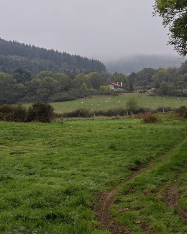 Gîte et chemin de Mado depuis Ambierle - Céline - 1