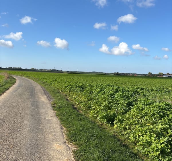 Balade à la fraîche à Boubers-sur-Canche - Boubers-sur-Canche - 1