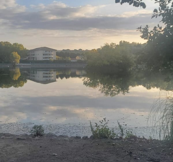 Balade sur les hauteurs de Vitrolles - Vitrolles - 1