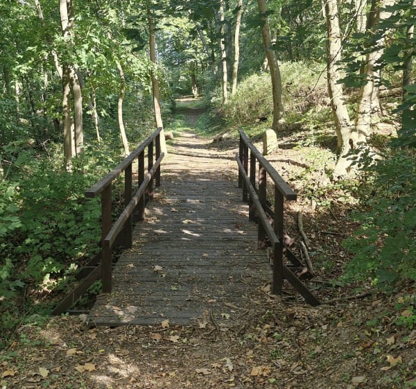 Dolina Miłości - Zatoń Dolna - Joanna - 1