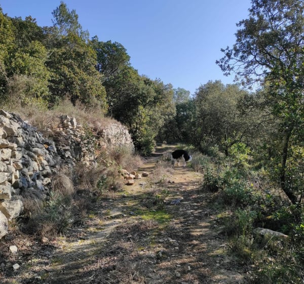 En route vers la roque sur Cèze__Rejeté - Kiner - 1