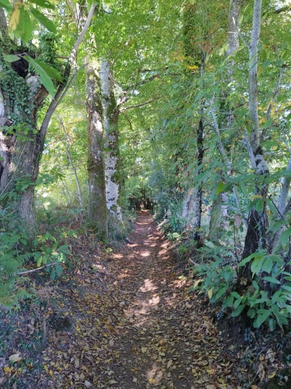 Circuit des villageois et nature autour de Couzeix - MARIE HELENE - 1