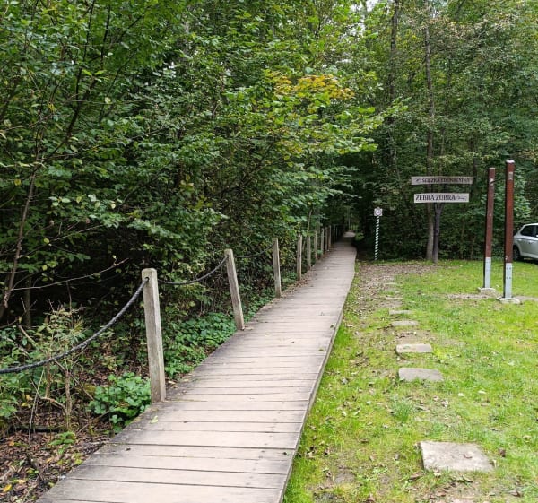 Białowieża - Agnieszka - 1