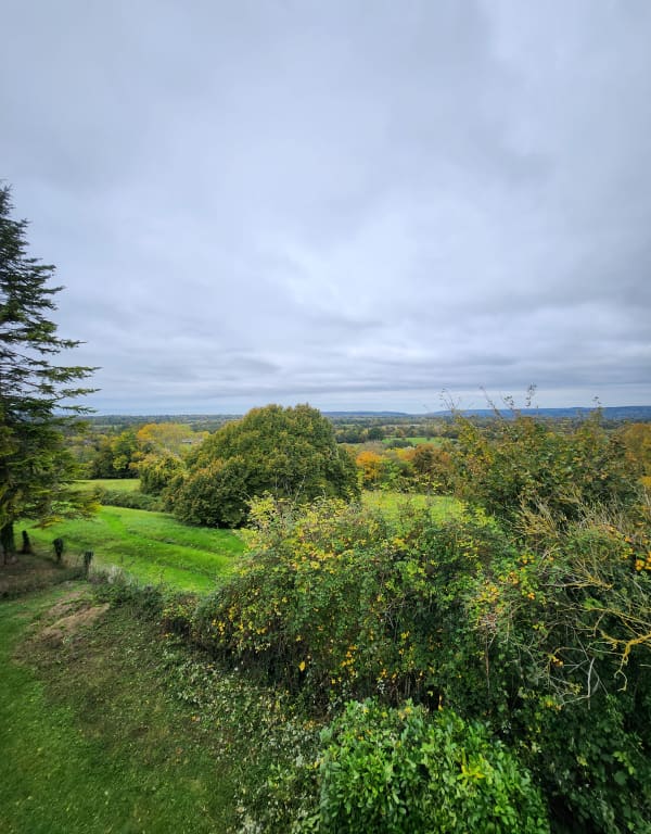 Au vert sur le chemin des Buttes en Terre d'Auge - Corentin - 1