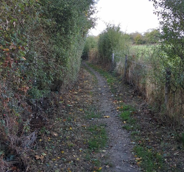 Balade dans les Mauges - Mauges-sur-Loire - 1