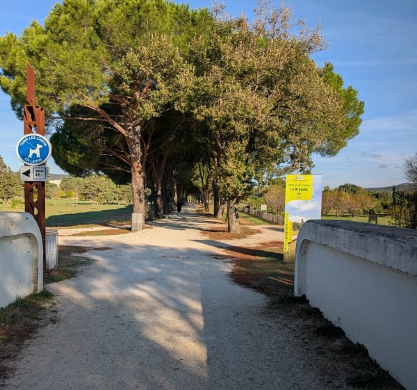 Chemin des annamites à La Londe-les-Maures - La Londe-les-Maures - 1